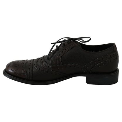 Dolce & Gabbana Brown Leather Wingtip Derby Formal Shoes