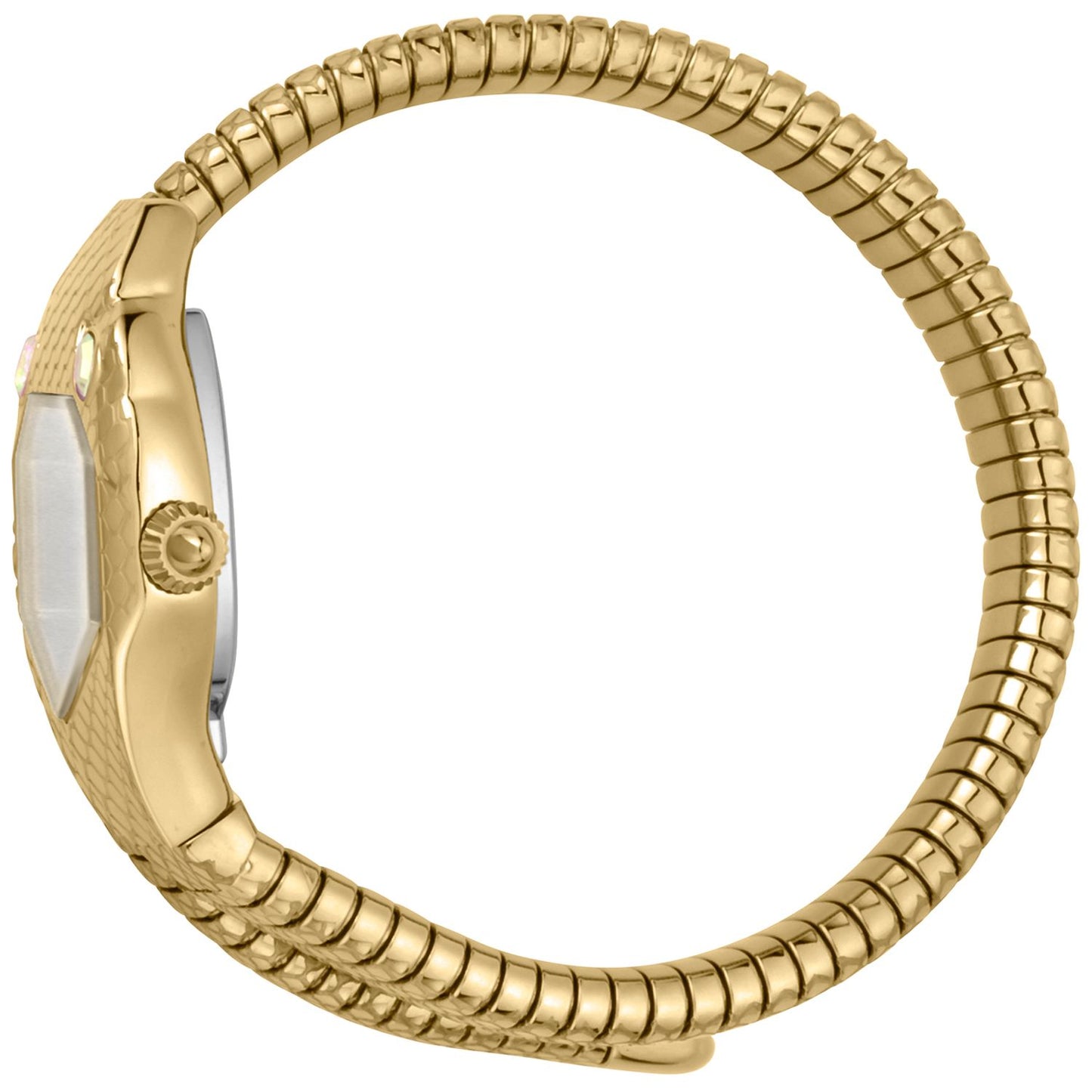 Just Cavalli Gold Women Watch Just Cavalli