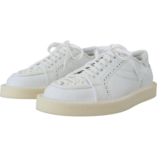 Dolce & Gabbana Elegant White Low Top Oxford Sneakers Dolce & Gabbana