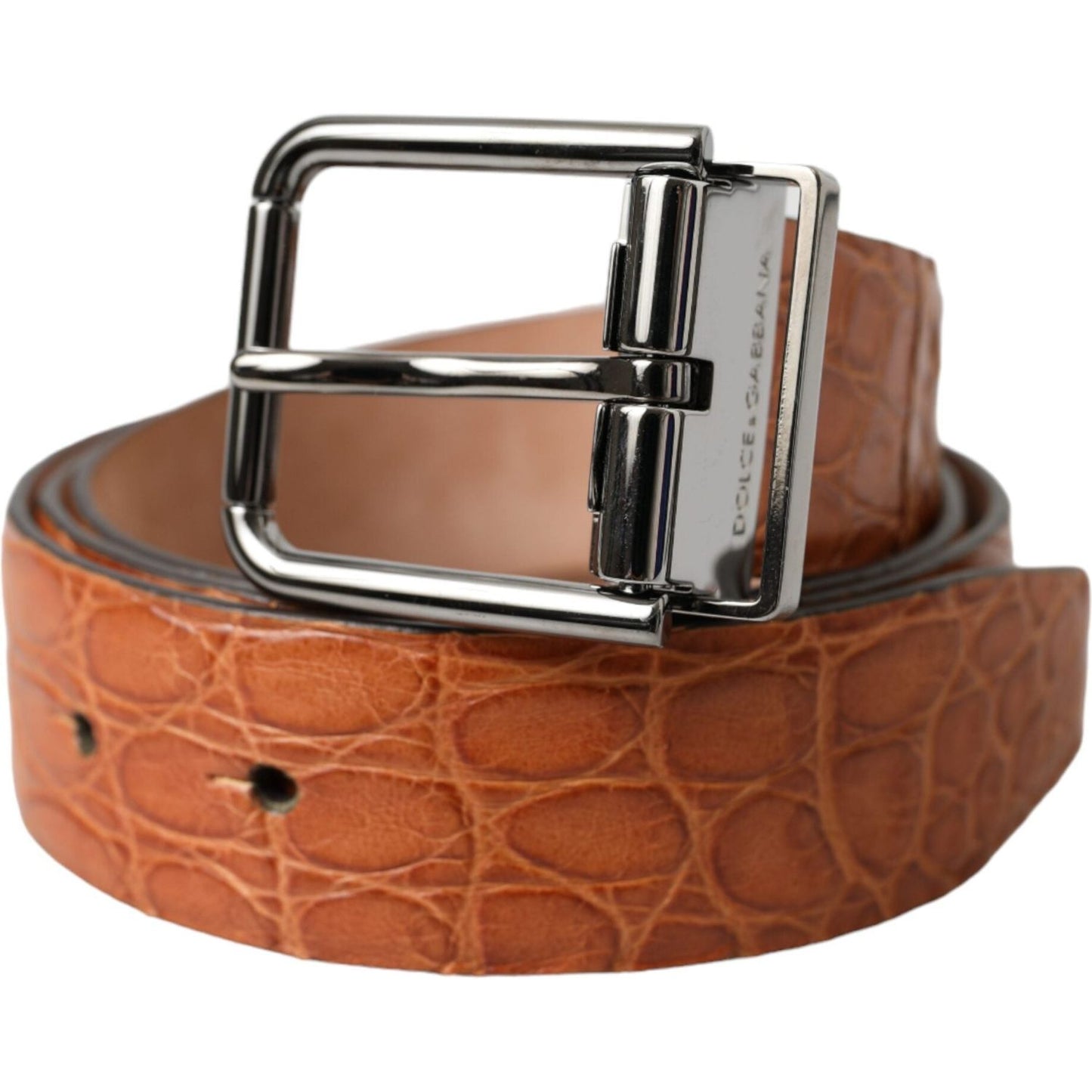Dolce & Gabbana Brown Exotic Leather Silver Metal Buckle Belt Dolce & Gabbana Sienna