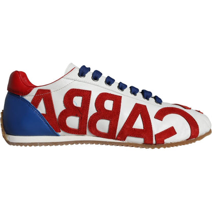 Dolce & Gabbana Multicolor Leather Logo Casual Sneakers Shoes