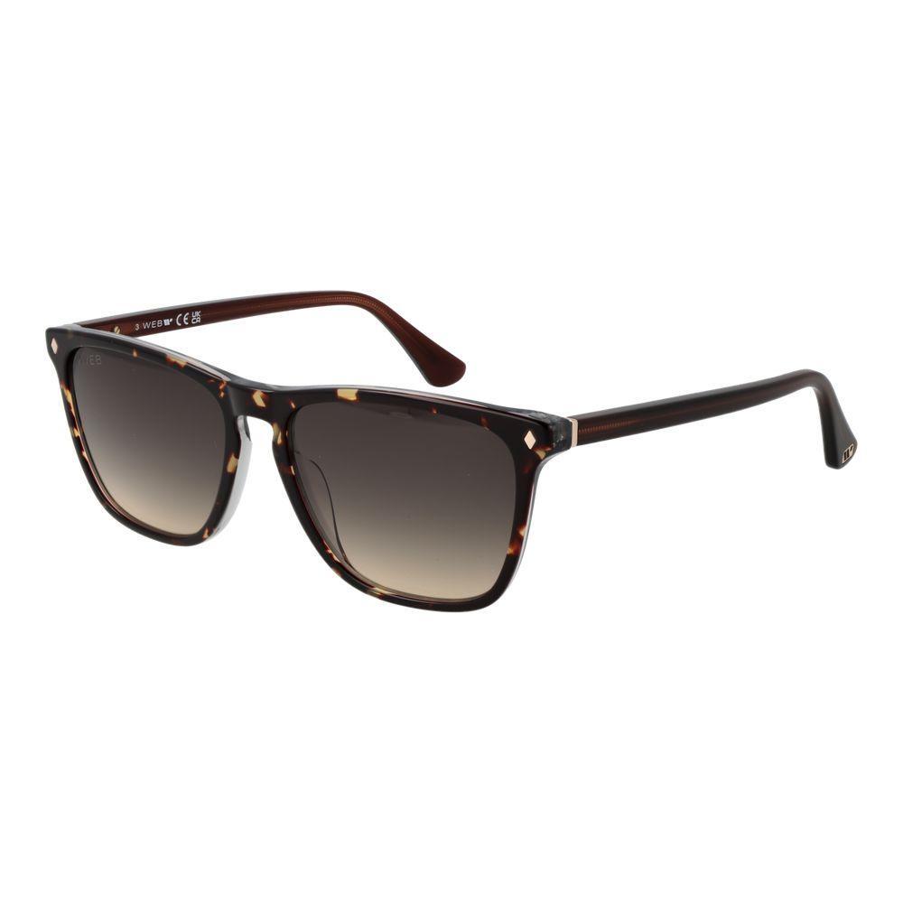 Web Brown Acetate Sunglasses Web