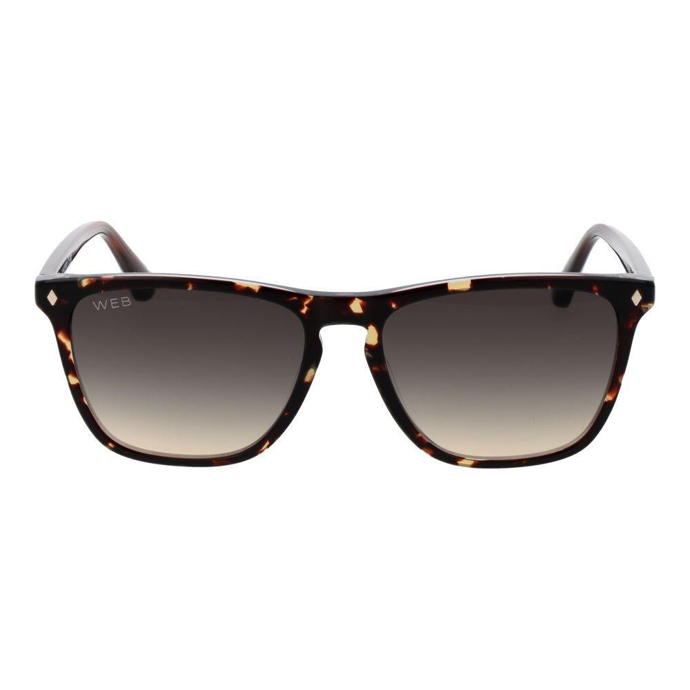 Web Brown Acetate Sunglasses Web