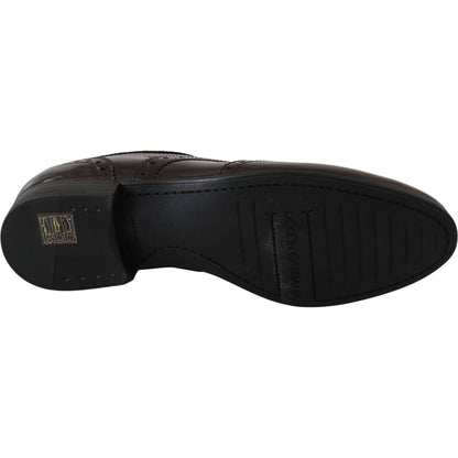 Dolce & Gabbana Brown Leather Broques Oxford Wingtip Shoes