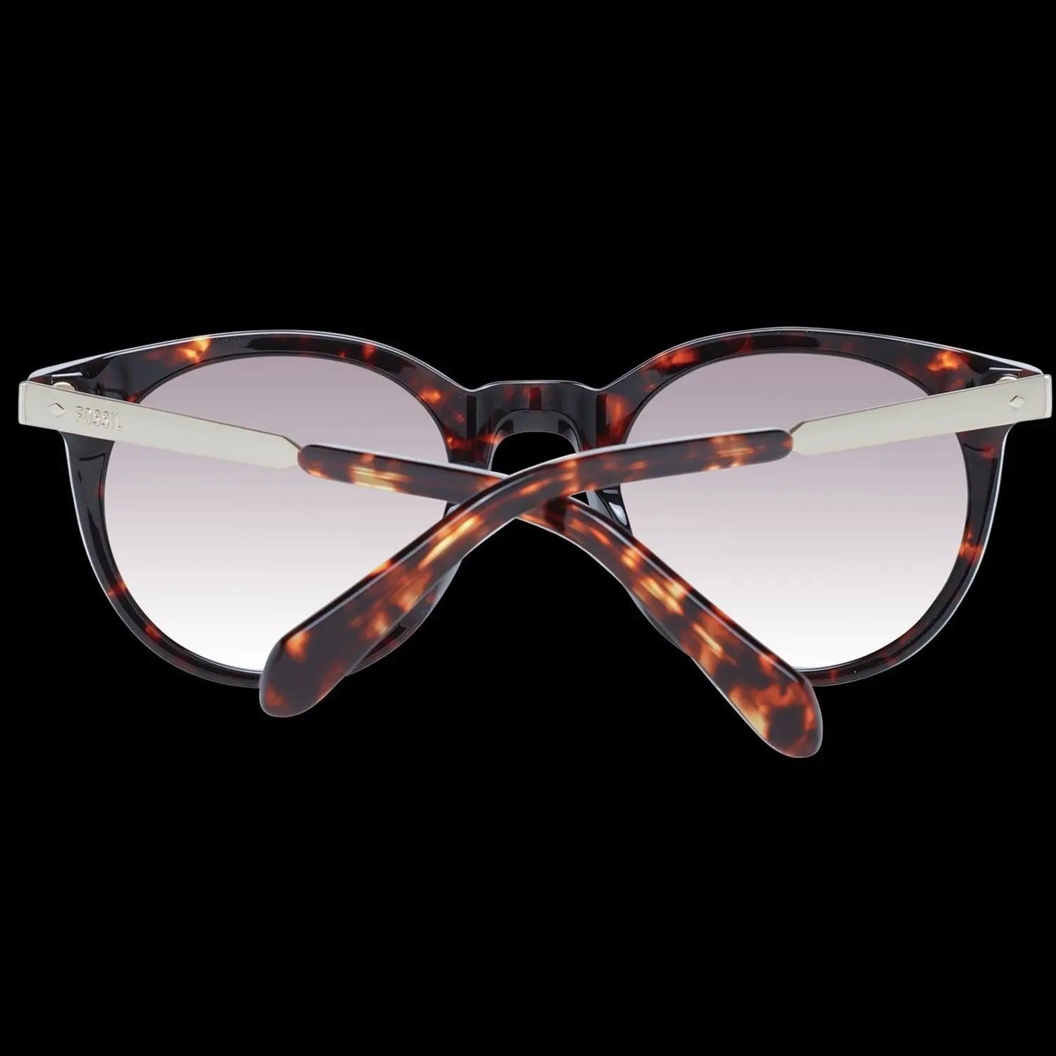 化石模型 FOS 2053_S 49086HA